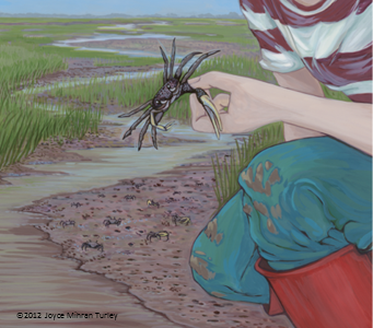 Girl_and_crab
