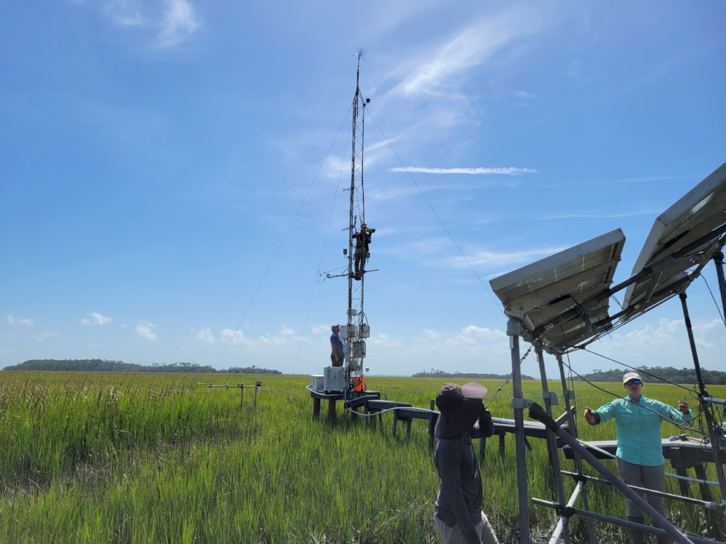 In foreground, two people are looking at the repaired solar array in the marsh next to a boardwalk. Farther along the boardwalk, one person is partway up the flux tower and another looks on.